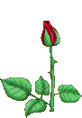 Simge